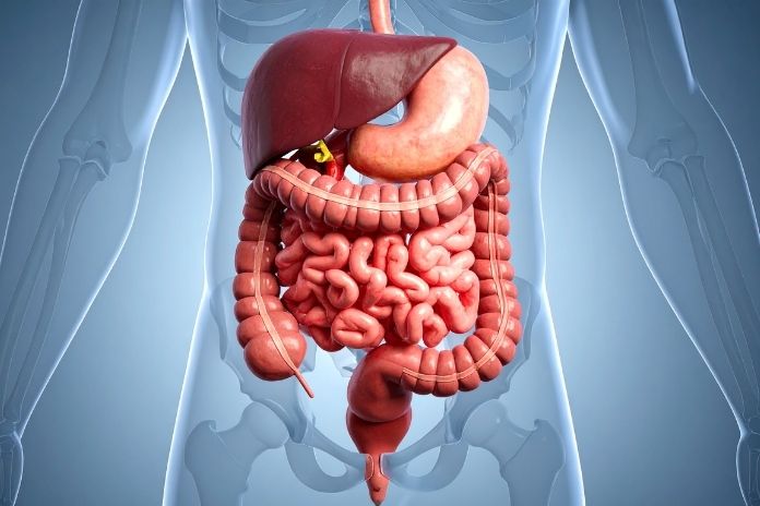 How Magnesium Citrate Relieves Constipation
