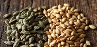 Stopping the Breakout: Zinc in Pumpkin Seeds vs. Vitamin E in Sunflower Seeds for Hormonal Acne Stopping the Breakout_ Zinc in Pumpkin Seeds vs. Vitamin E