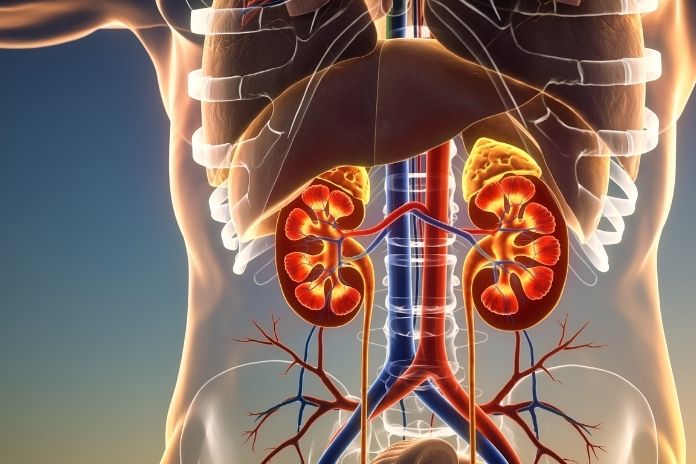 The Science of Citric Acid and Kidney Stone Prevention