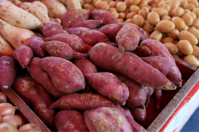 The Sweet Potato Fiber Secret for a Flatter Stomach