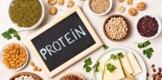 What Happens to Your Body When You Switch to Plant Protein What Happens to Your Body When You Switch to Plant Protein