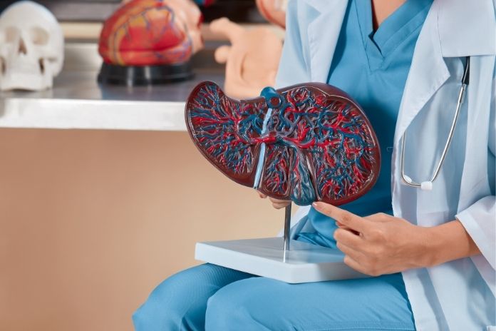Why NAFLD Is Rising Among Non-Drinkers