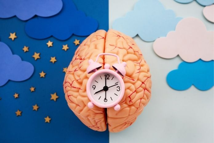 Why Timing Changes Everything — The Body Clock Biology