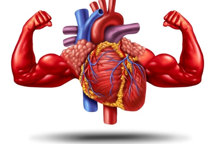 Why a Normal ECG Doesn’t Always Mean a Healthy Heart