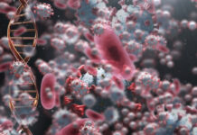 BRCA1 and BRCA2 Gene Mutations: What They Mean for Your Risk Bakers Cyst Treatment 12 Home Remedies That Work