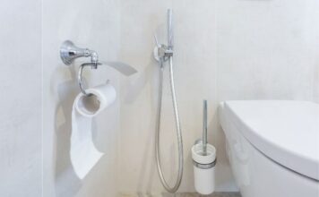 Bidet vs Toilet Paper: Which Is Actually Better for Your Health? Bidet vs Toilet Paper