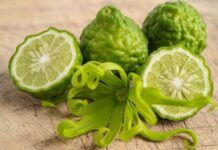 8 Health Benefits of Bergamot (and What the Research Actually Shows) Health Benefits of Bergamot