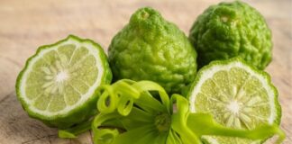 8 Health Benefits of Bergamot (and What the Research Actually Shows) Health Benefits of Bergamot