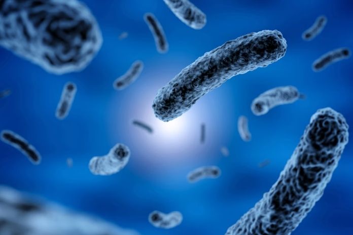 Hidden Bacteria 1 Mycoplasma Genitalium