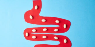 How Long Does Food Stay in Your Stomach? Digestion Timeline Explained How Long Does Food Stay in Your Stomach Digestion Timeline Explained