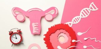 How Long Does Menopause Last? What to Expect at Each Stage How Long Does Menopause Last_ What to Expect at Each Stage