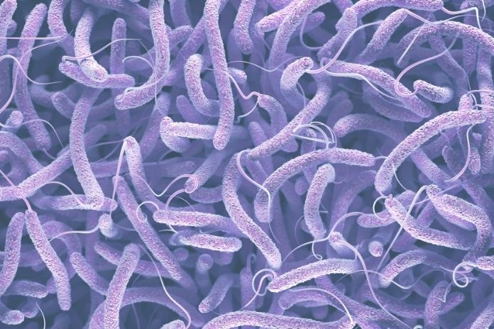 Other Signs That Deli Meat Has Gone Bad