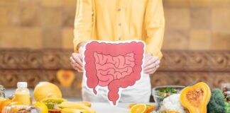 Prebiotics vs. Probiotics: How the “Fuel and Fleet” Strategy Supports Gut Health Prebiotics vs. Probiotics