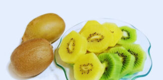 SunGold vs. Green Kiwi: Which One Actually Boosts Your Skin’s Collagen? SunGold vs Green Kiwi