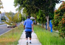 The 120-Second Rule: How 2 Minutes of Walking After Lunch Can Improve Artery Health The 120-Second Rule