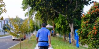 The 120-Second Rule: How 2 Minutes of Walking After Lunch Can Improve Artery Health The 120-Second Rule