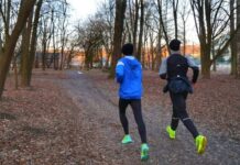 The 30-Minute Efficiency Audit: When to Run for Endurance vs. Walk for Fat Oxidation The 30-Minute Efficiency Audit