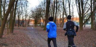 The 30-Minute Efficiency Audit: When to Run for Endurance vs. Walk for Fat Oxidation The 30-Minute Efficiency Audit