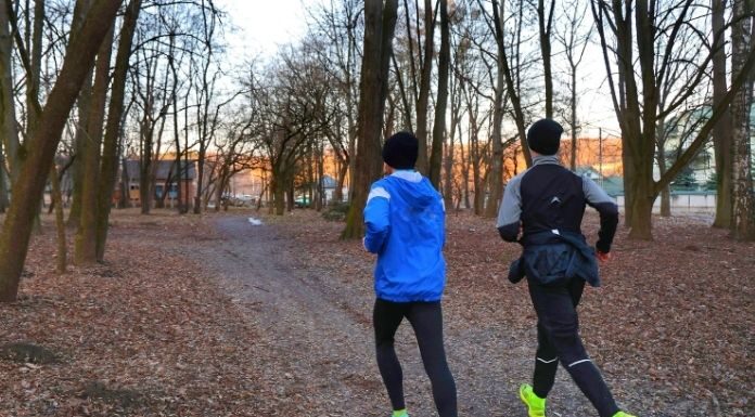The 30-Minute Efficiency Audit: When to Run for Endurance vs. Walk for Fat Oxidation The 30-Minute Efficiency Audit