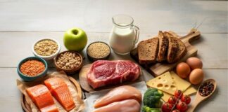 The Executive Function Diet: Can High-Protein Meals and Routine Help Calm ADHD-Related Anxiety? The Executive Function Diet