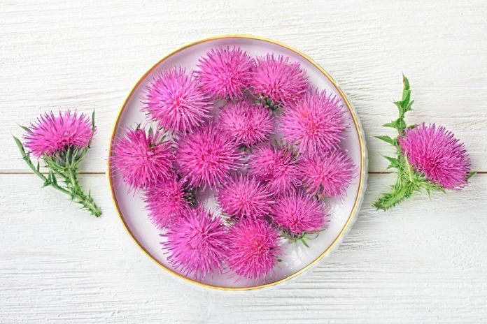 What 3 Cups of Milk Thistle Tea Actually Delivers