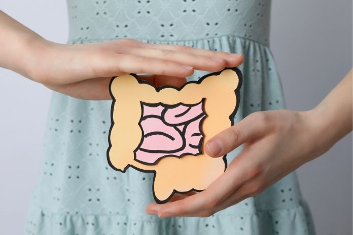 What Are Prebiotics