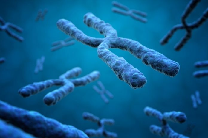What Causes Prader-Willi Syndrome