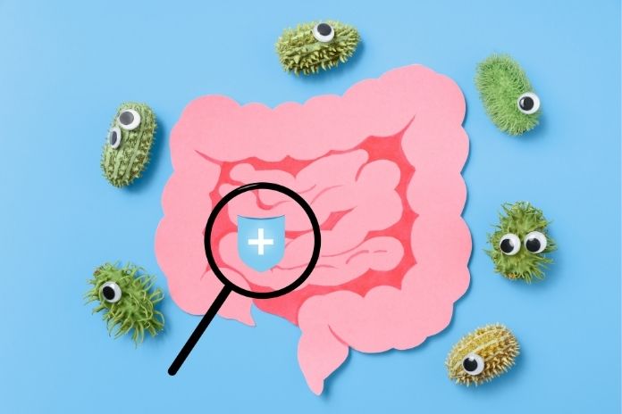When Supporting the Gut Microbiome May Be Especially Helpful