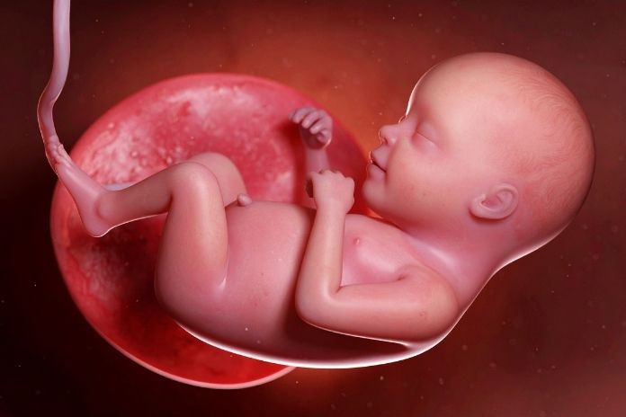 Why Folate Matters More Than Caffeine During Pregnancy