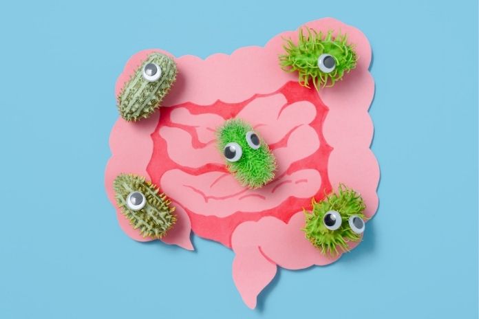Why the Gut Microbiome, and Butyrate, Connect So Many of These Foods