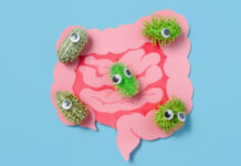 Your Gut Is a Second Brain: What That Actually Means for Your Health Your Gut Is a Second Brain What That Actually Means for Your Health