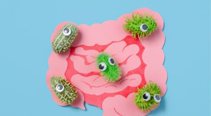 Your Gut Is a Second Brain: What That Actually Means for Your Health Your Gut Is a Second Brain What That Actually Means for Your Health