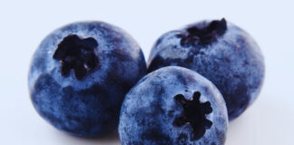 9 Foods High in Antioxidants Besides Blueberries 9 Foods High in Antioxidants Besides Blueberries