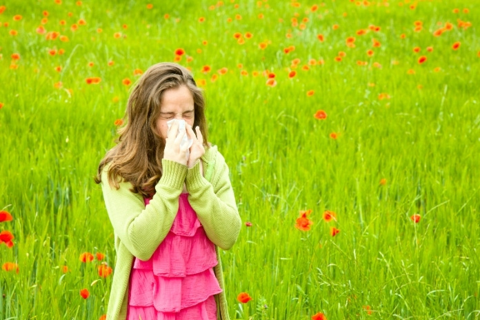 Best Antihistamines for Hay Fever Best Antihistamines for Hay Fever