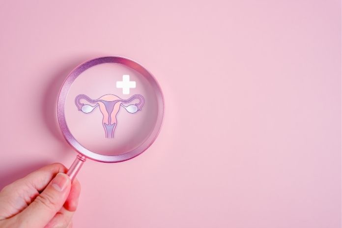 Can Vaginal Hormones Prevent Recurrent UTIs Can Vaginal Hormones Prevent Recurrent UTIs