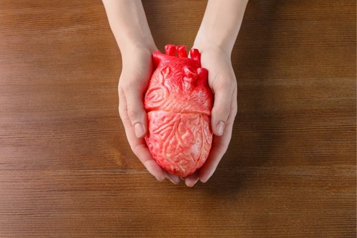 Cardiovascular and Longevity Benefits