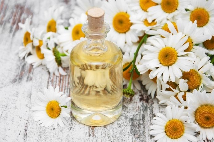 Common Misconceptions About Seed Oils
