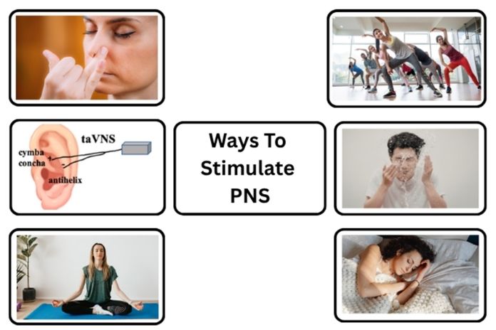Evidence-Based Ways to Strengthen Your Parasympathetic Nervous System