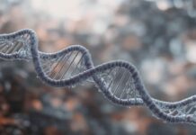 Gene-Editing Therapy That Lowers Harmful Blood Fats in One Infusion: What It Means for Heart Health Gene-Editing Therapy That Lowers Harmful Blood Fats in One Infusion