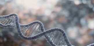 Gene-Editing Therapy That Lowers Harmful Blood Fats in One Infusion: What It Means for Heart Health Gene-Editing Therapy That Lowers Harmful Blood Fats in One Infusion
