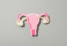HRT Is Not One Size Fits All: The Four Types of Hormone Therapy Explained HRT Is Not One Size Fits All