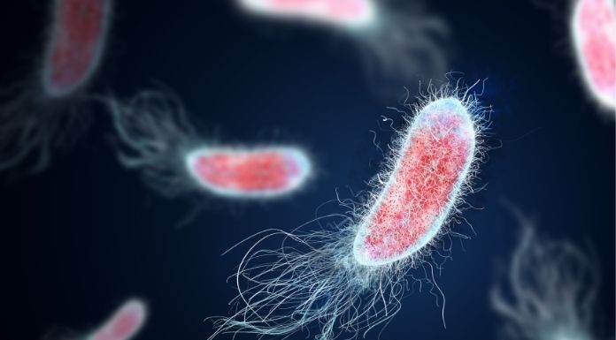 Harvard Gut Discovery: How the Microbiome Could Change Obesity Treatment Harvard Gut Discovery