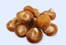 7 Health Benefits of Shiitake Mushrooms (And What the Research Actually Shows) Health Benefits of Shiitake Mushrooms