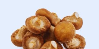 7 Health Benefits of Shiitake Mushrooms (And What the Research Actually Shows) Health Benefits of Shiitake Mushrooms