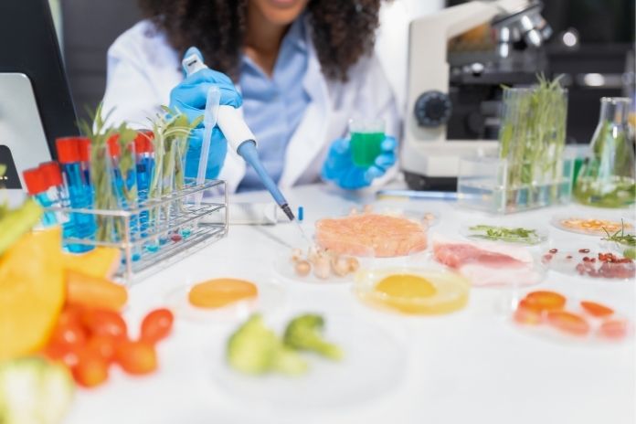 How Nutrient Bioavailability Actually Works