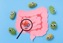 How the Gut Produces Hormones That Influence Blood Sugar, Appetite, and Mood How the Gut Produces Hormones