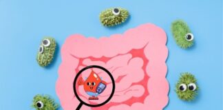 How the Gut Produces Hormones That Influence Blood Sugar, Appetite, and Mood How the Gut Produces Hormones
