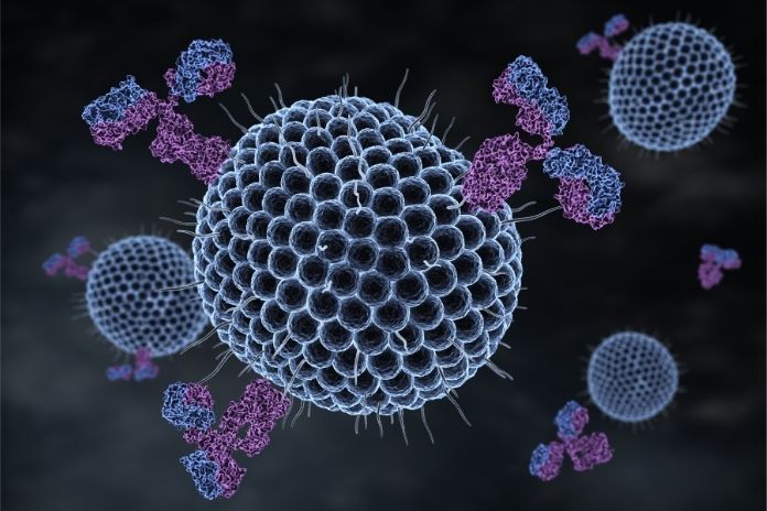 Immune Support_ This One Actually Has a Human Study