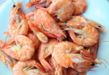 Is It Healthy to Eat Shrimp Every Day? What Happens When You Eat It Regularly Is It Healthy to Eat Shrimp Every Day