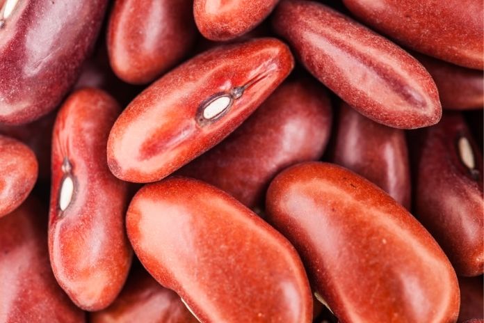 Kidney Beans
